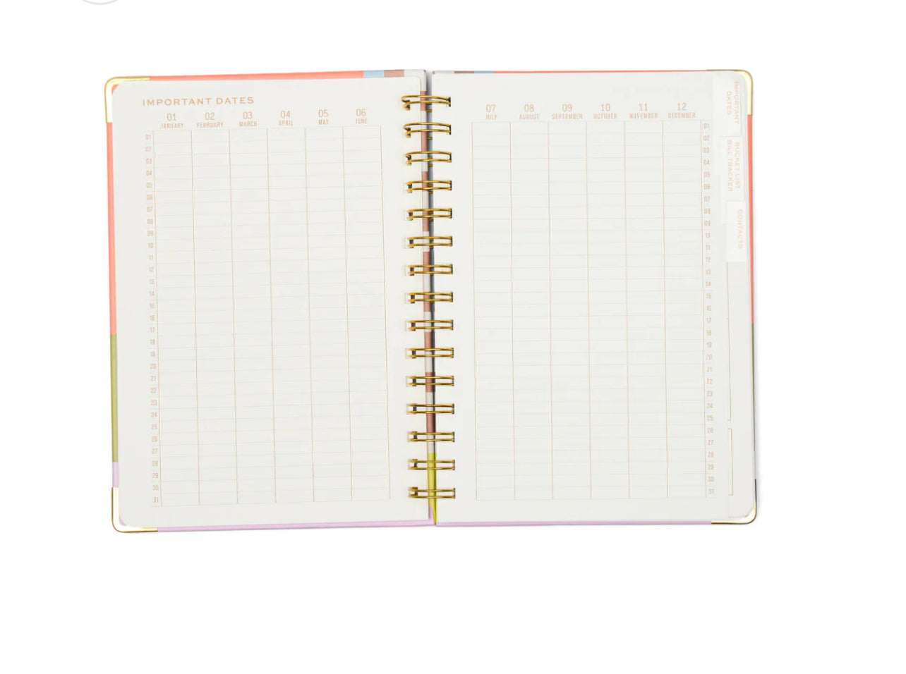 13 Month Undated Perpetual Calendar