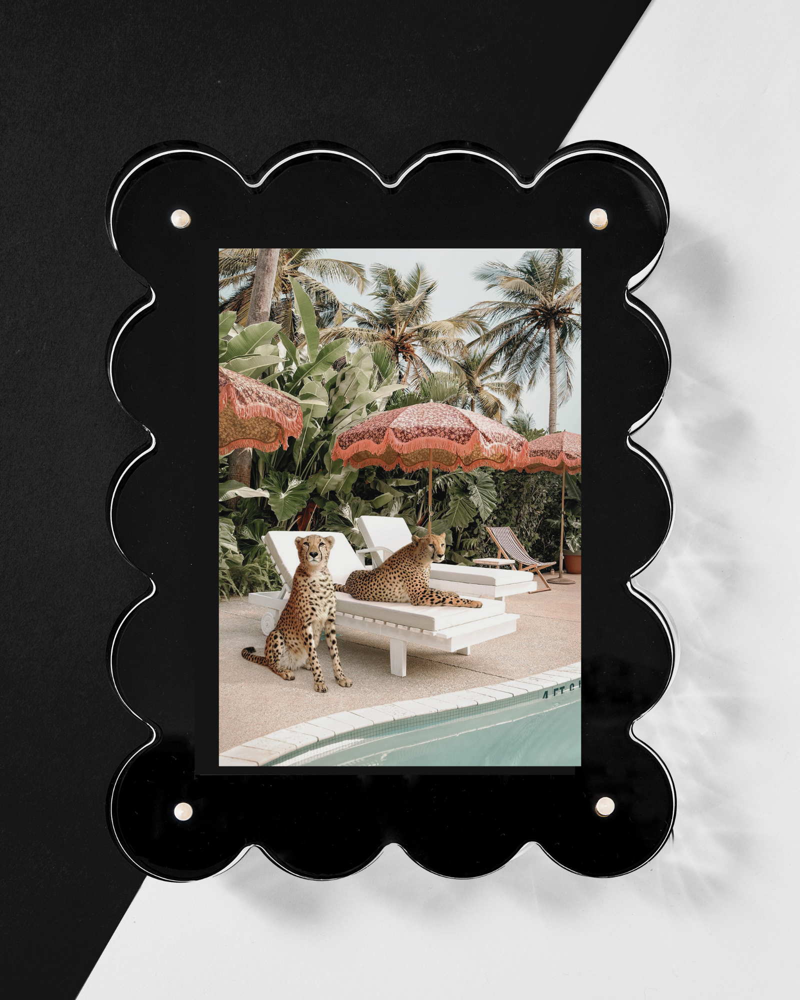 Tart by Taylor | Acrylic Picture Frame, Assorted Colors