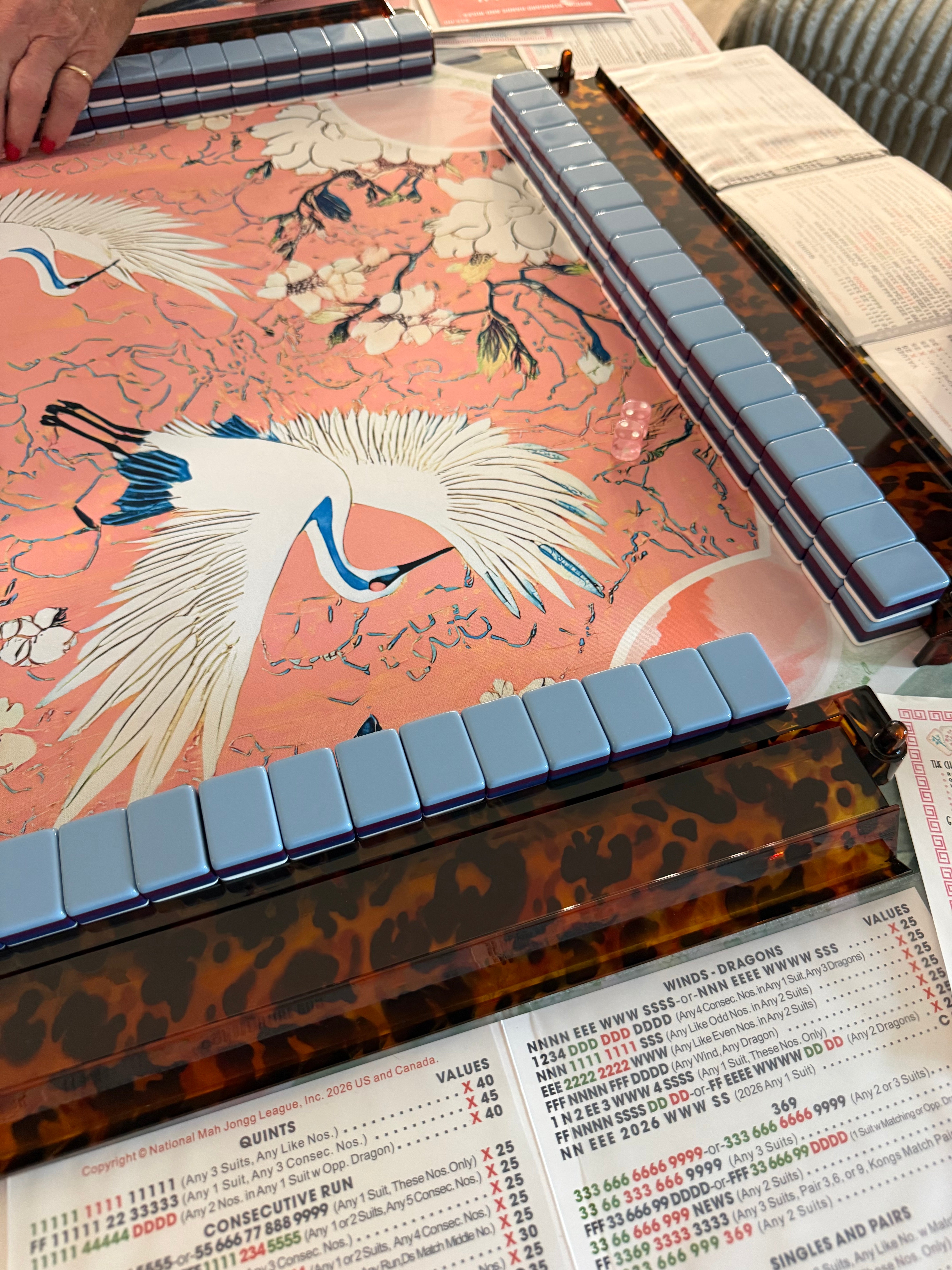 Mahjong 101 Class