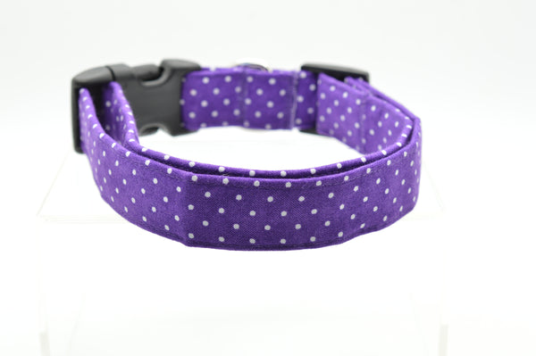 Dog Collar World | Purple Pin Dot  Collar, Assorted Sizes