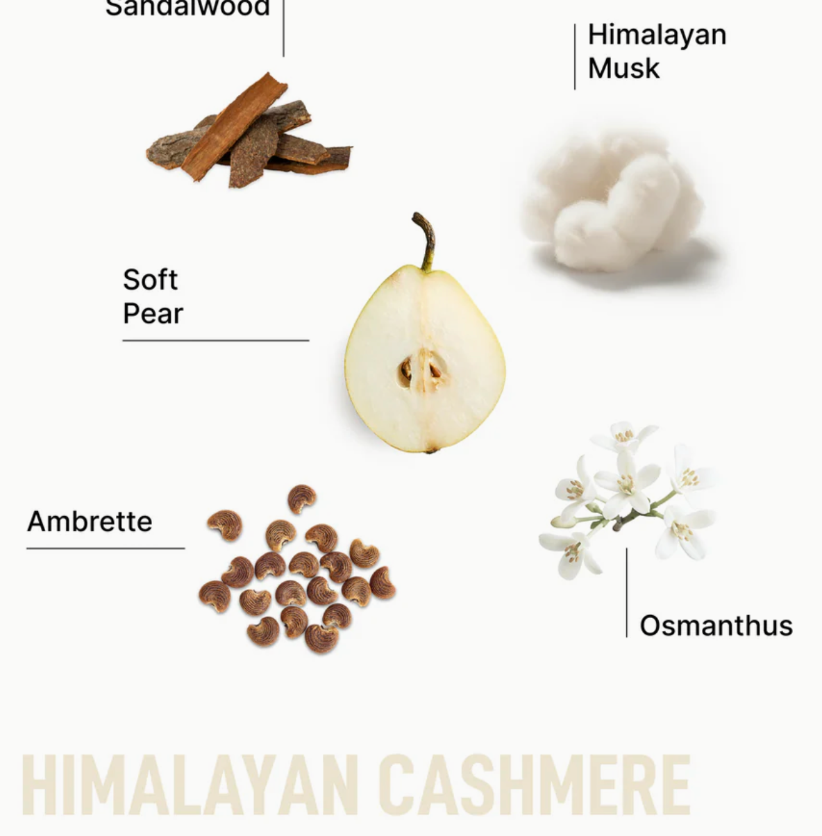 Detergent Pods, Assorted Fragrances