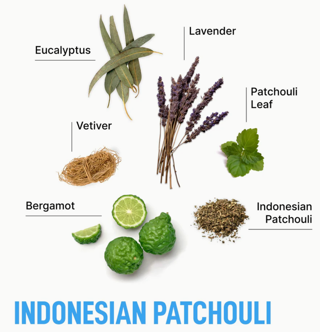 Detergent Pods, Assorted Fragrances