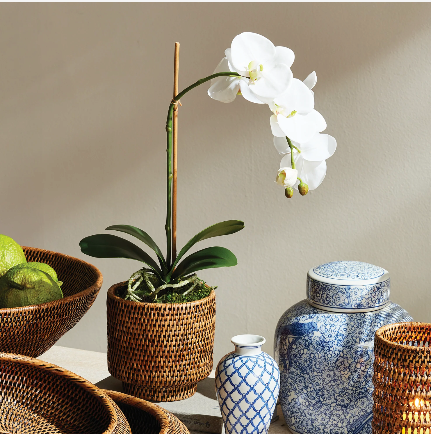 Phalaenopsis Drop- In 15"