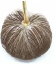 Hot Skwash | 4" Velvet Pumpkin, Multiple Color Options