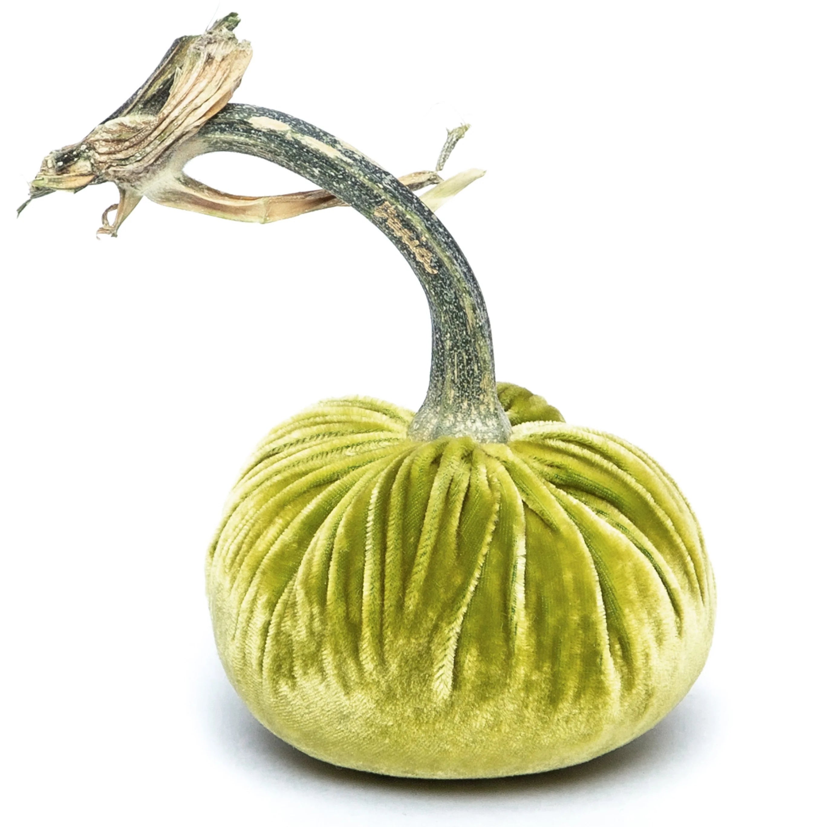 Hot Skwash | 8" Velvet Pumpkin, Multiple Color Options