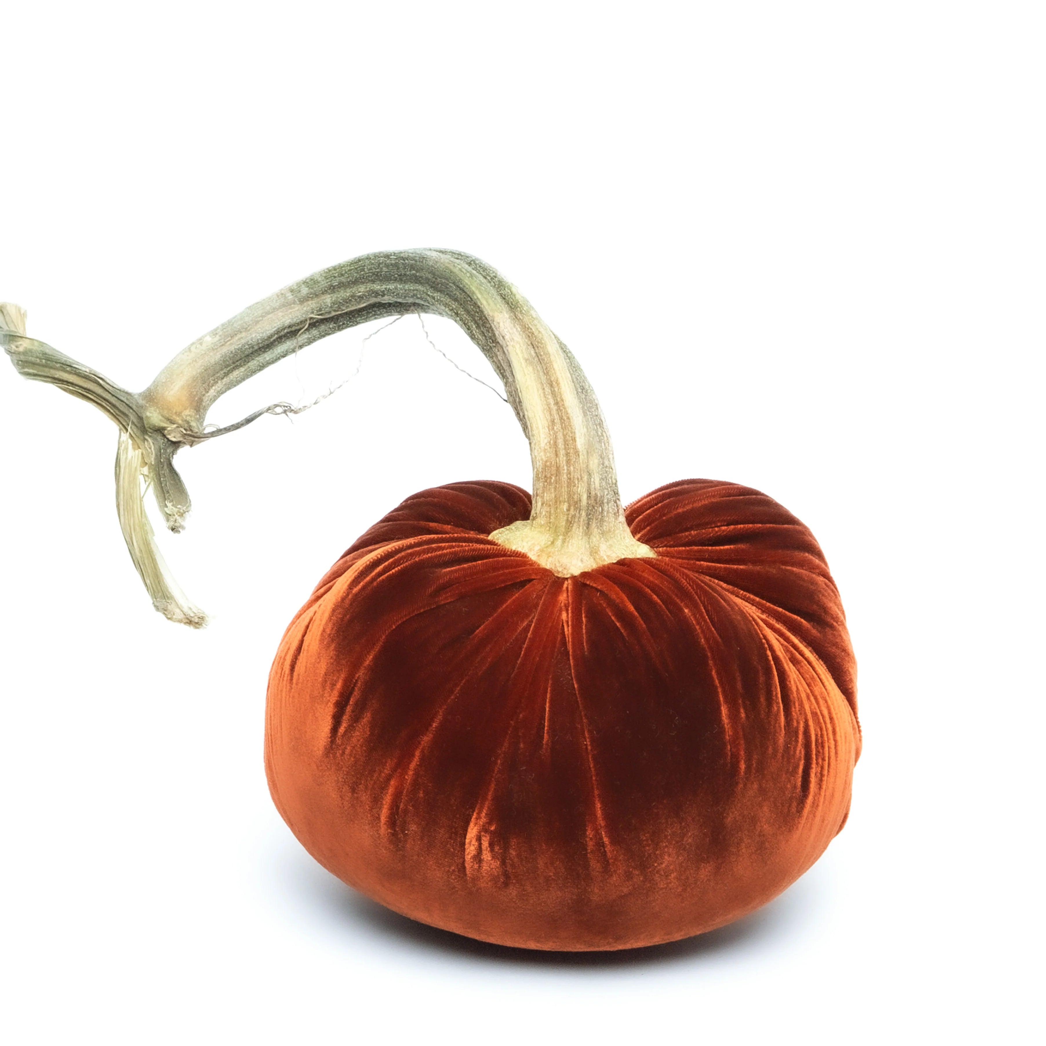 Hot Skwash | 8" Velvet Pumpkin, Multiple Color Options