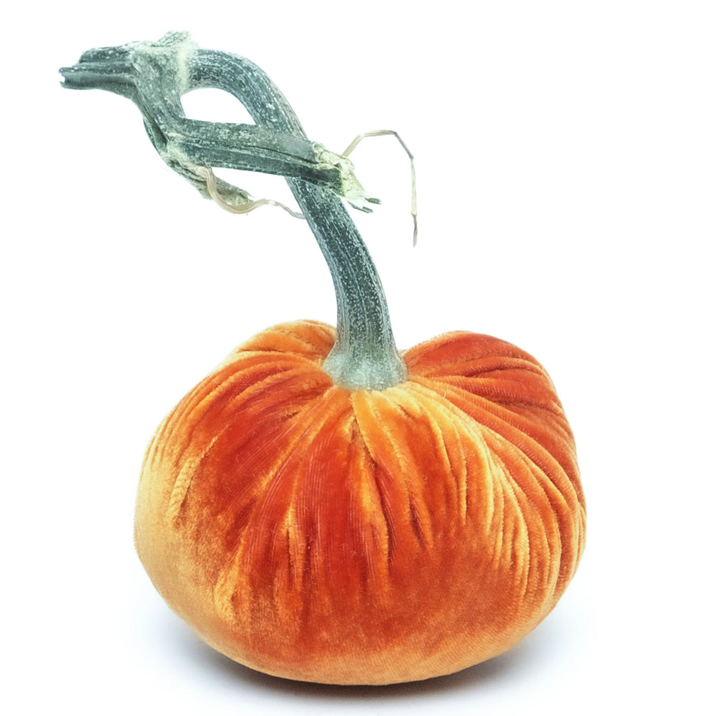 Hot Skwash | 6" Velvet Pumpkin, Multiple Color Options
